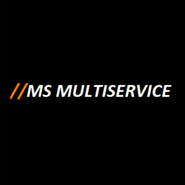 MS Multiservice I/S