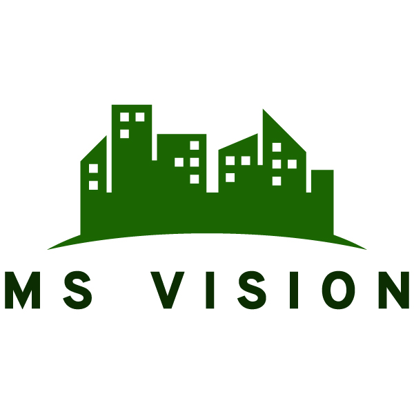 Ms Vision