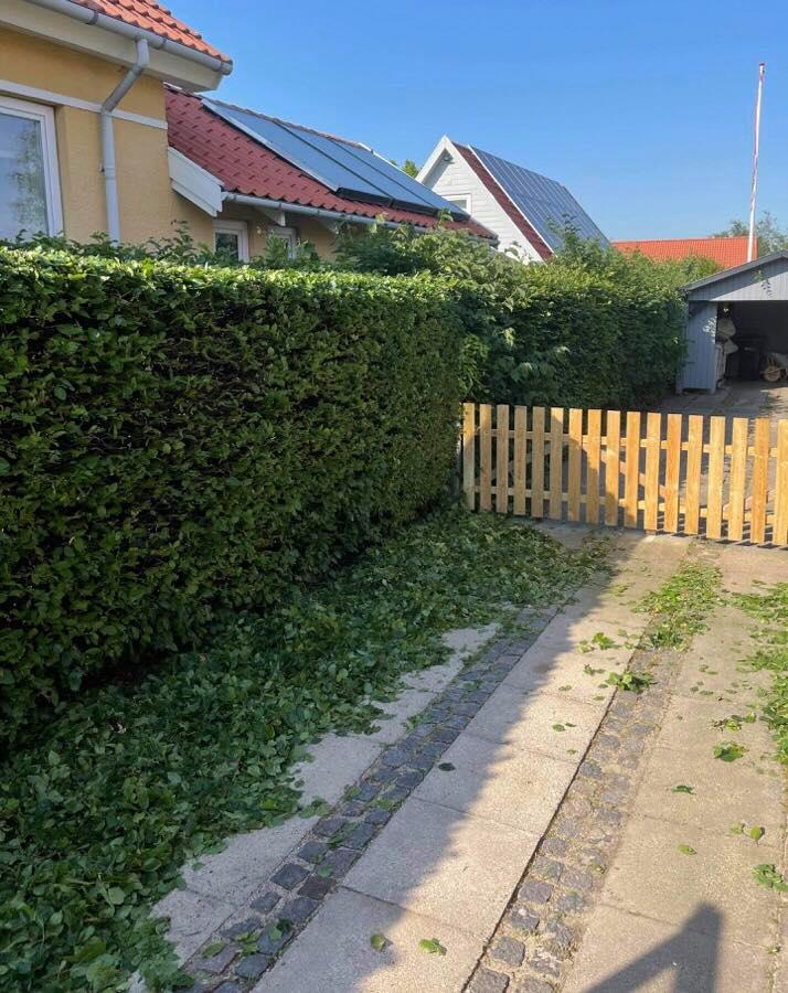 HÆKKEKLIPNING