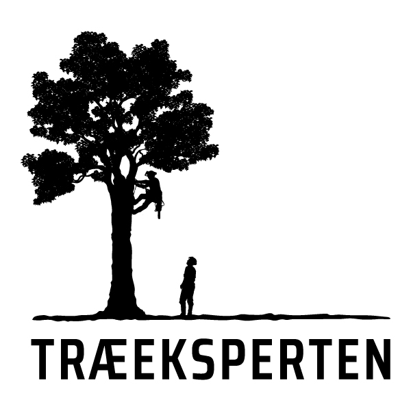 Træeksperten logo