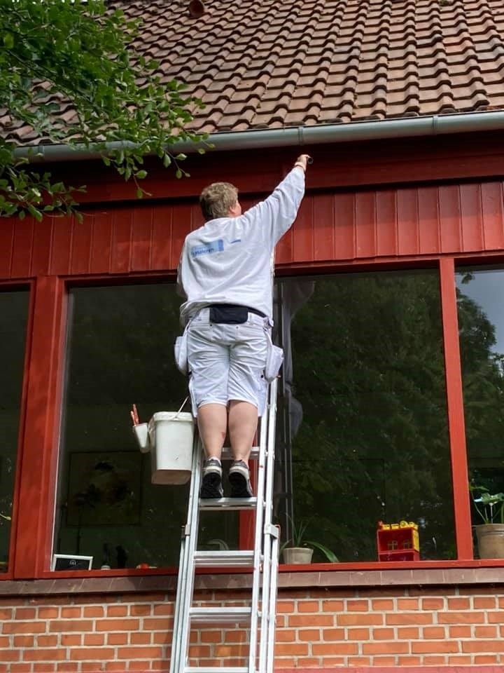 Fraugde Maleren