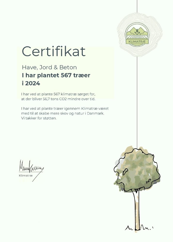 Klima træer plantet