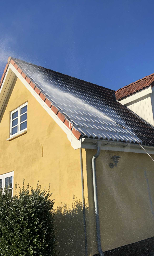 Algebehandling af tag