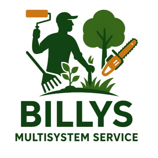 Billys Multisystem Service