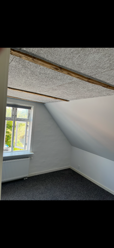 Opsætning af ny skillevæg, og nyt Troldtekt loft.