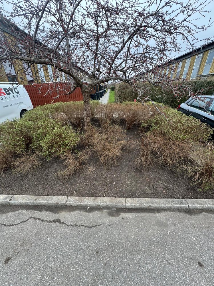 Ukrudt ukrudt ukrudt