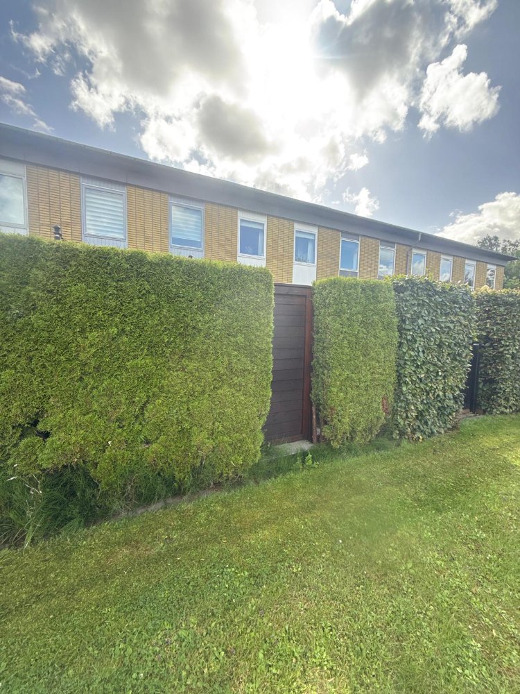 Sådan klippers der hos Robinhave