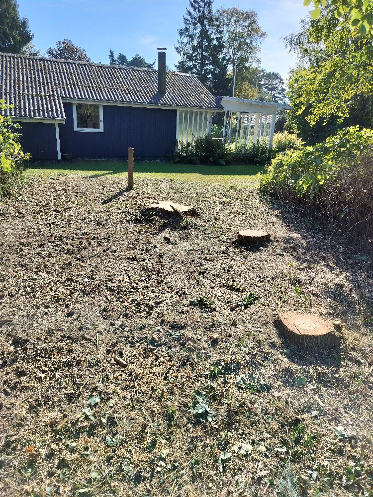 Fældning, rydning af krat, stubfræsning