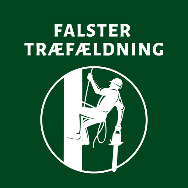 Falster Træfældning