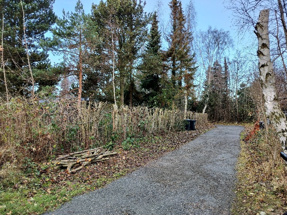 Topning af skelbeplantning