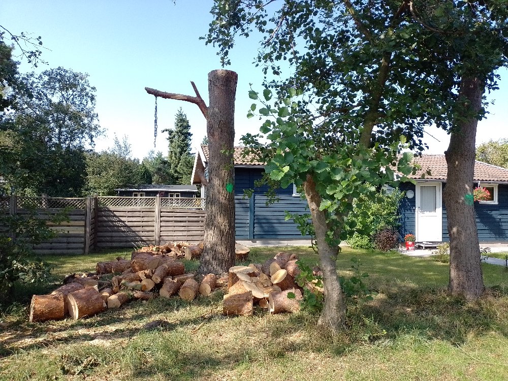 Topning af fyrtræ. Træet lavet til flis og efterladt til kundens bede.
