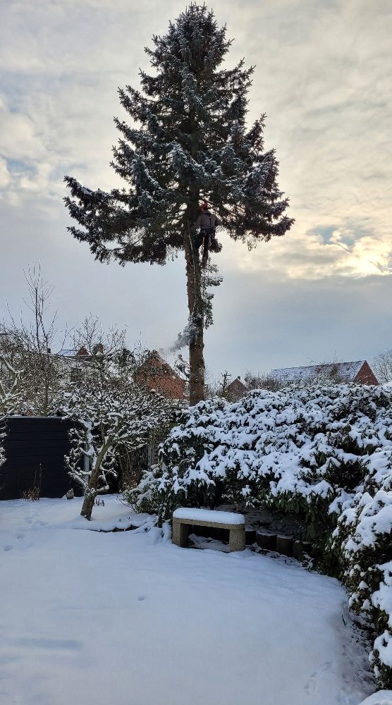 Klatreopgave i snevejr