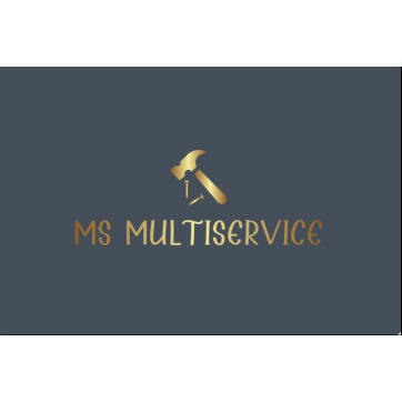 MS Multiservice logo