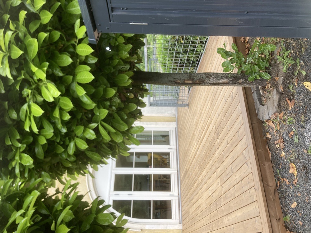 Terrasse Thermowood